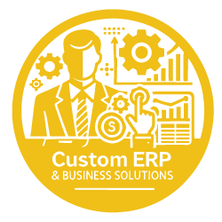 Custom ERP & Business Solutions